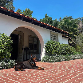 Doberman dog lying on brick patio outside Spanish-style home with arched doorway and lush greenery.